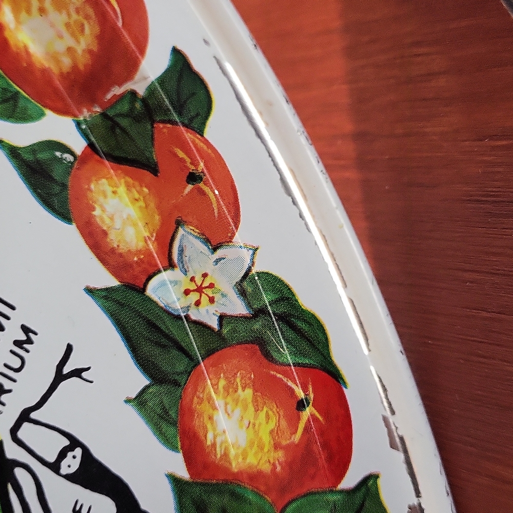 Vintage Metal Florida Souvenir Plate - Picture 9 of 12